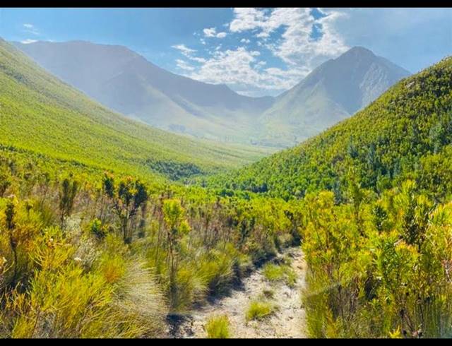 LAND FOR SALE IN TSITSIKAMMA